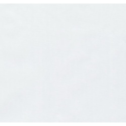 Рулонная штора Delfa Maxi СРШ-01M 100 48x180cm (White) Thumb