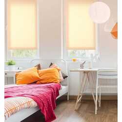 Рулонная штора Delfa Maxi СРШ-03 2070 160x160cm (Apricot) Thumb