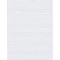 Рулонная штора Delfa Maxi СРШ-03 2800 160x160cm (White) Thumb