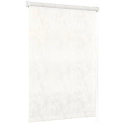 Рулонная штора Delfa Maxi СРШ-03П 27011 100x170cm (White)