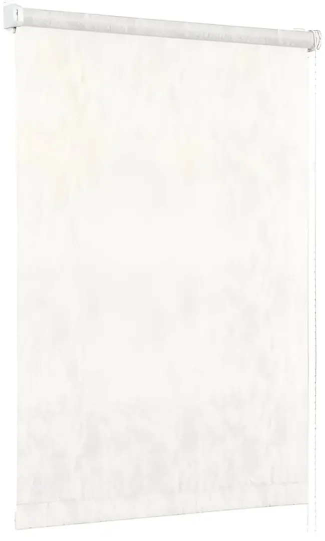 Рулонная штора Delfa Maxi СРШ-03П 27011 100x170cm (White)