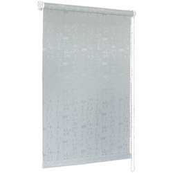 Рулонная штора Delfa Mini Asia 43x170cm (Grey)