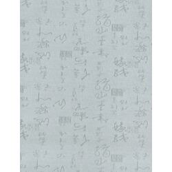 Рулонная штора Delfa Mini Asia 73x170cm (Grey) Thumb