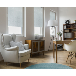 Рулонная штора Delfa Mini Premium СРШ-01МП 75104 57x170cm (Grey Thumb