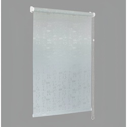 Рулонная штора Delfa Mini Premium СРШ-01МП 75104 81x170cm (Grey Thumb