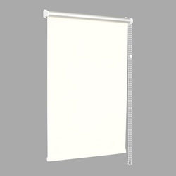 Рулонная штора Delfa Mini Premium СРШ-7900 52x170cm (White) Thumb