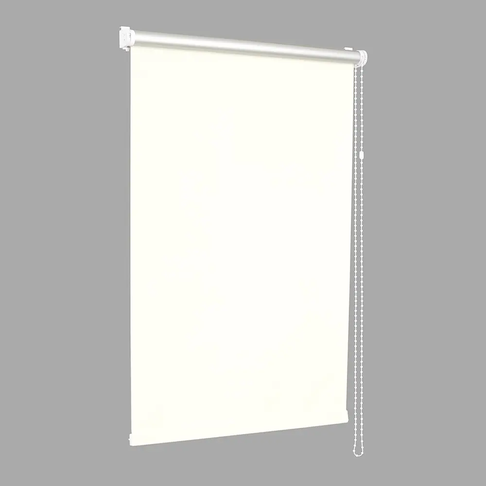 Рулонная штора Delfa Mini Premium СРШ-7900 52x170cm (White)