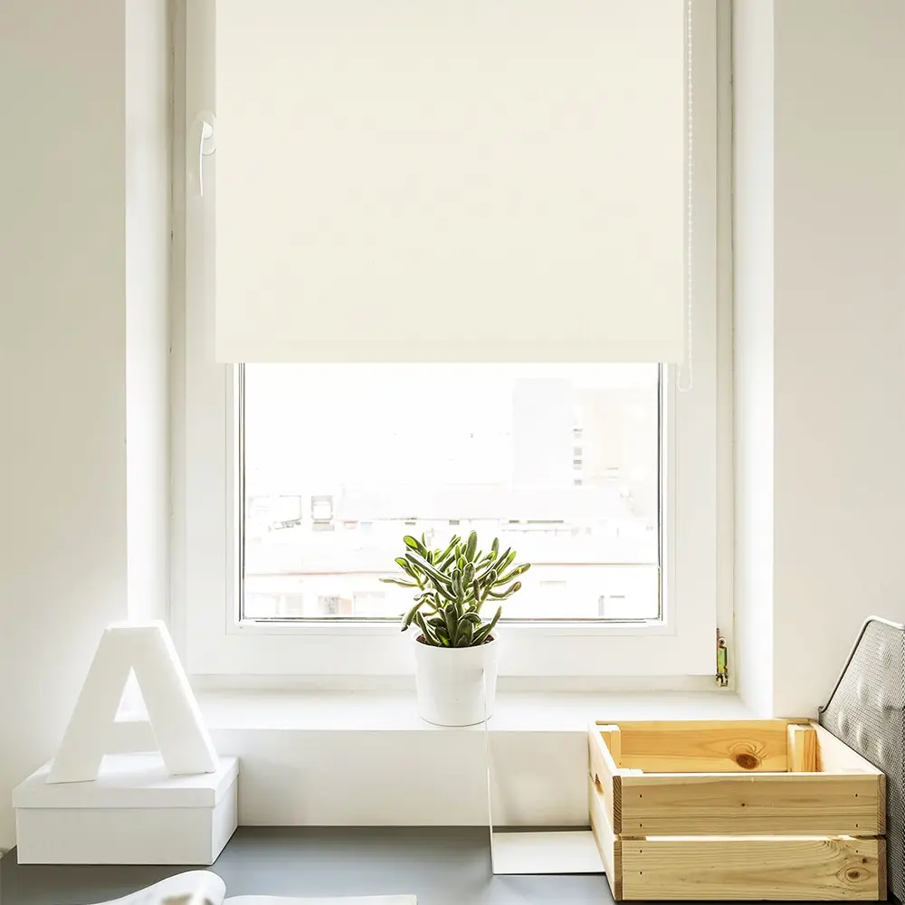 Рулонная штора Delfa Mini Premium СРШ-7900 52x170cm (White)