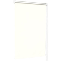 Рулонная штора Delfa Mini Premium СРШ-7900 52x170cm (White)