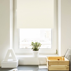 Рулонная штора Delfa Mini Premium СРШ-7900 62x170cm (White) Thumb