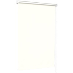 Рулонная штора Delfa Mini Premium СРШ-7900 62x170cm (White)