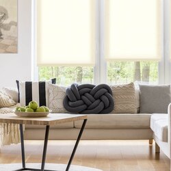 Рулонная штора Delfa Mini Royal 115x170cm (Cream) Thumb