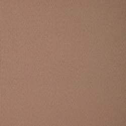 Рулонная штора Delfa Mini Royal 52x170cm (Cocoa) Thumb