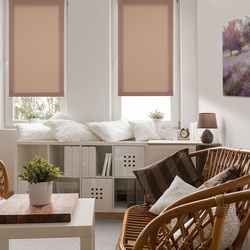 Рулонная штора Delfa Mini Royal 81x170cm (Cocoa) Thumb