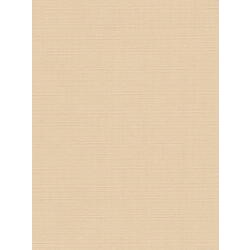 Jaluzele rulou Delfa Mini СРШ-01М 2070 48x160cm (Apricot) Thumb