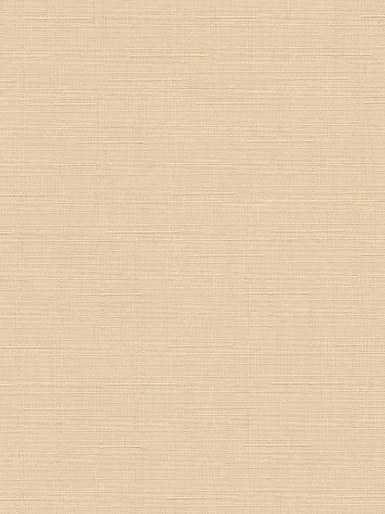 Рулонная штора Delfa Mini СРШ-01М 2070 57x160cm (Apricot)