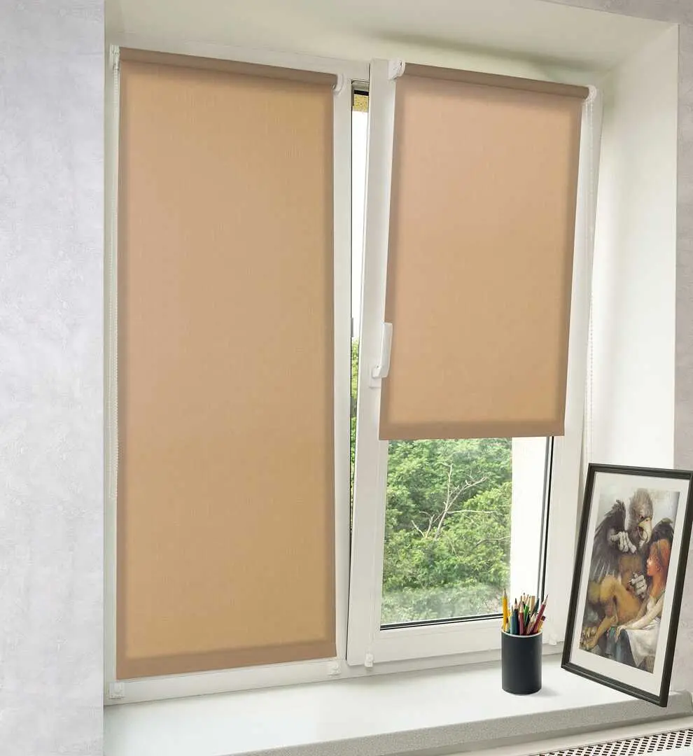 Рулонная штора Delfa Mini СРШ-01М 2439 48x160cm (Cocoa)