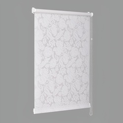 Рулонная штора Delfa Mini СРШ-01М 276 48х170cm (White Rose) Thumb