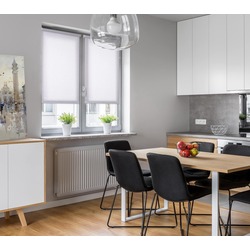 Рулонная штора Delfa Mini СРШ-01М 2800 48x160cm (White) Thumb