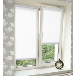 Рулонная штора Delfa Mini СРШ-01М 2800 57x160cm (White) Thumb