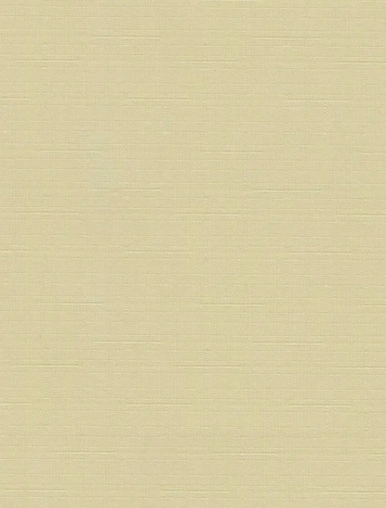 Рулонная штора Delfa Mini СРШ-01М 2875 62x160cm (Champagne)