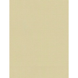 Рулонная штора Delfa Mini СРШ-01М 2875 68x160cm (Champagne) Thumb