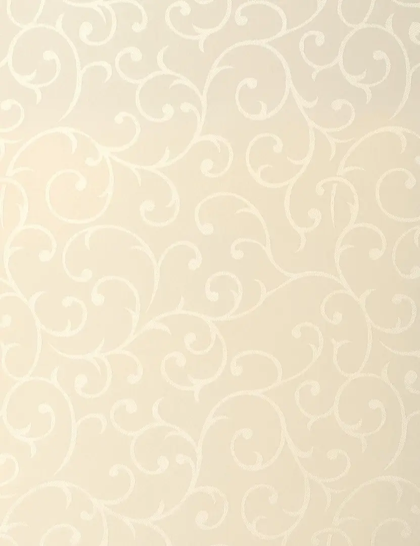 Jaluzele rulou Delfa Mini СРШ-01М 8236 52х170cm (Cream)