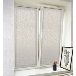 Рулонная штора Delfa Mini СРШ-01М 8282 43x170cm (Grey) Thumb