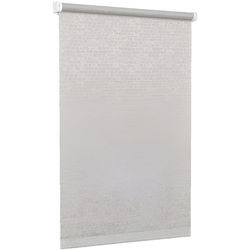 Jaluzele rulou Delfa Mini СРШ-01М 8282 48x170cm (Grey)