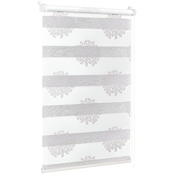 Рулонная штора Delfa Mini СРШ-01МК 44802 68x215cm (White/Silver)