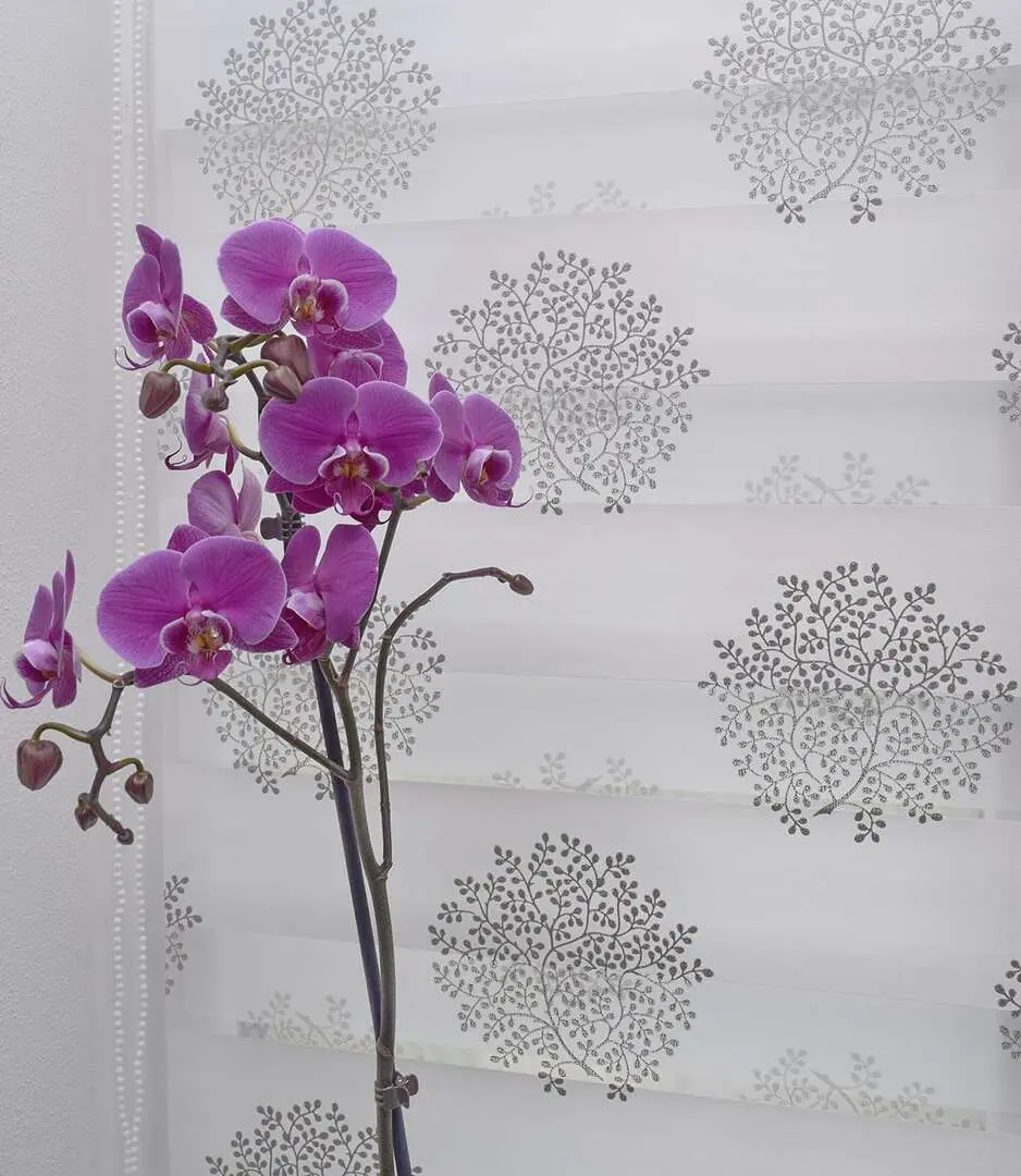 Рулонная штора Delfa Mini СРШ-01МК 44802 68x215cm (White/Silver) - 5