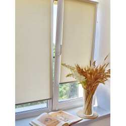 Рулонная штора Delfa Premium Deste СРШ-01МП 312302 34x170cm (Ash) Thumb