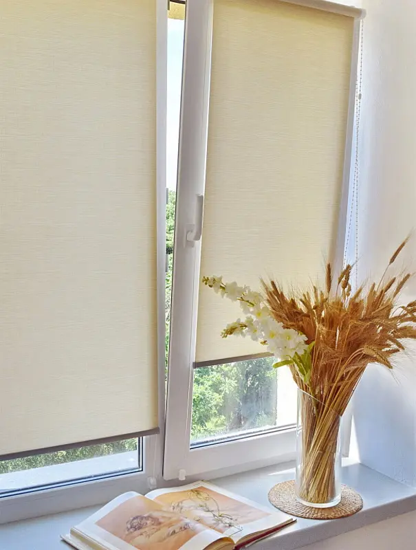 Рулонная штора Delfa Premium Deste СРШ-01МП 312302 57x170cm (Ash)