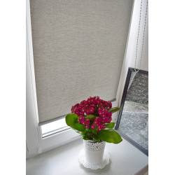 Рулонная штора Delfa Premium Pontos СРШ-01МП 322701 68x170cm (Grey) Thumb