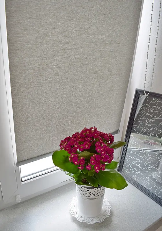 Рулонная штора Delfa Premium Pontos СРШ-01МП 322701 73x170cm (Grey) - 5