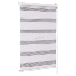 Рулонная штора день-ночь Delfa Mini СРШ-01МК 41017 68х160cm (White)