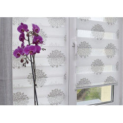 Рулонная штора день-ночь Delfa Mini СРШ-01МК 44802 48х160cm (White/Silver) Thumb