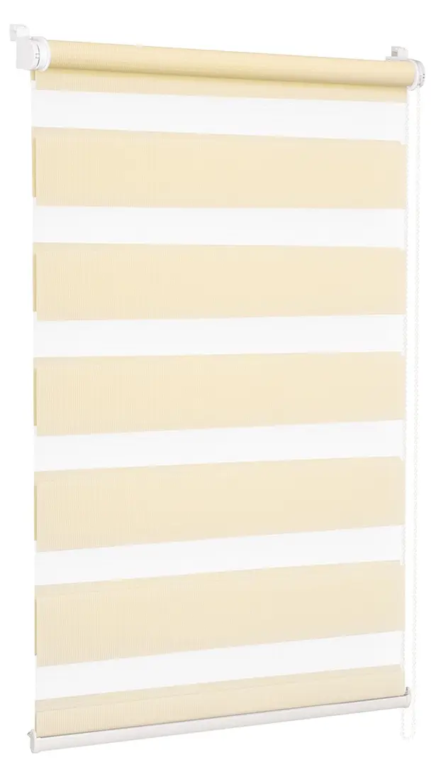 Рулонная штора день-ночь Delfa Mini СРШ-40603 57x160 (Beige)