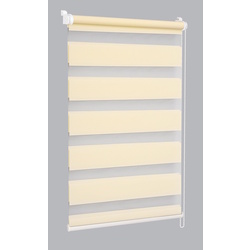 Рулонная штора день-ночь Delfa Mini СРШ-40603 68x160 (Beige) Thumb