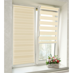 Рулонная штора день-ночь Delfa Mini СРШ-40603 73x160 (Beige) Thumb