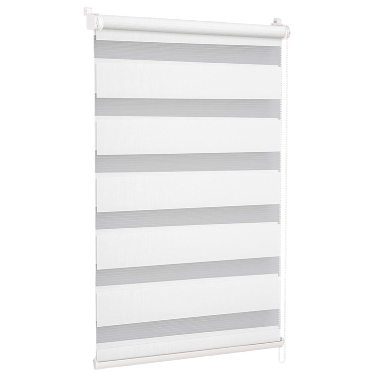 Рулонная штора день-ночь Delfa Mini СРШ-40609 52x160 (White)