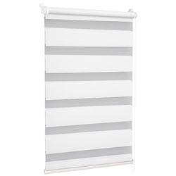 Рулонная штора день-ночь Delfa Mini СРШ-40609 57x160 (White)