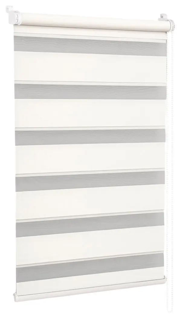 Рулонная штора день-ночь Delfa Mini СРШ-45802 48x160 (Pearl)