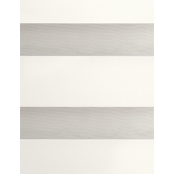 Рулонная штора день-ночь Delfa Mini СРШ-45802 62x160 (Pearl) Thumb