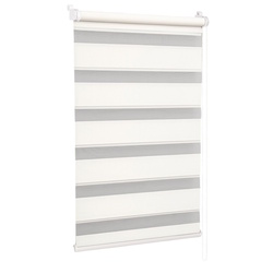 Рулонная штора день-ночь Delfa Mini СРШ-45802 62x160 (Pearl)