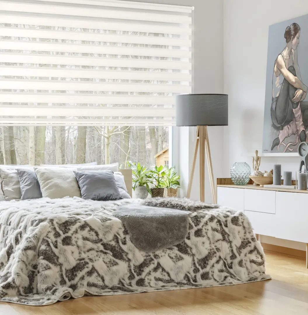 Рулонная штора день-ночь Delfa Mini СРШ-45802 81x160 (Pearl)