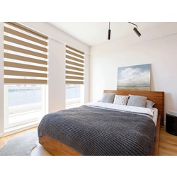 Рулонная штора день-ночь Delfa Mini СРШ-45806 34x160 (Cappuccino) Thumb