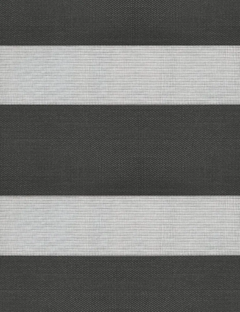 Рулонная штора день-ночь Delfa Mini СРШ-45818 48x160 (Anthracite)