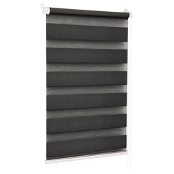 Рулонная штора день-ночь Delfa Mini СРШ-45818 52x160 (Anthracite)