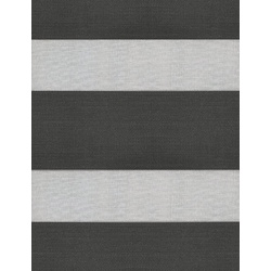 Рулонная штора день-ночь Delfa Mini СРШ-45818 81x160 (Anthracite) Thumb